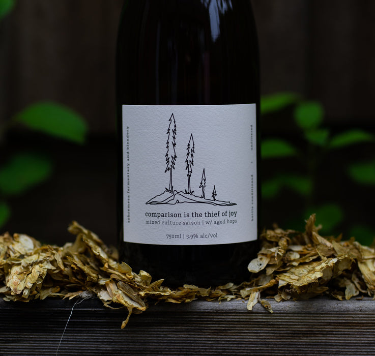 Comparison Is The Thief Of Joy