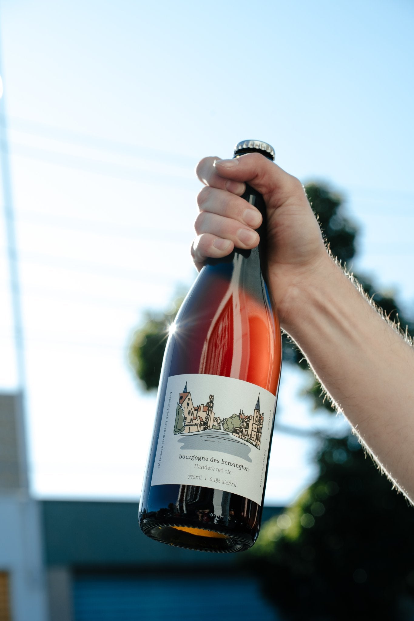 Bourgogne de Kensington x Bonehead - Sobremesa Fermentary & Blendery