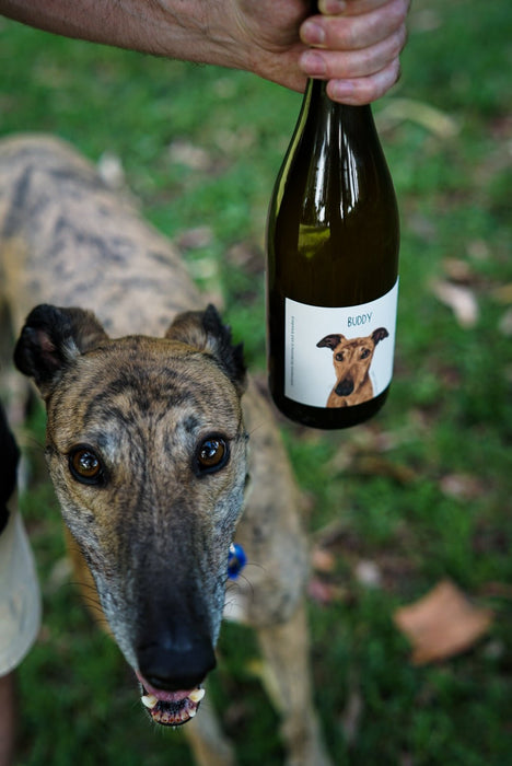 Buddy - Sobremesa Fermentary & Blendery