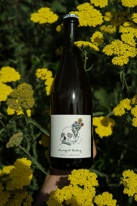 Divergent Thinking - Sobremesa Fermentary & Blendery