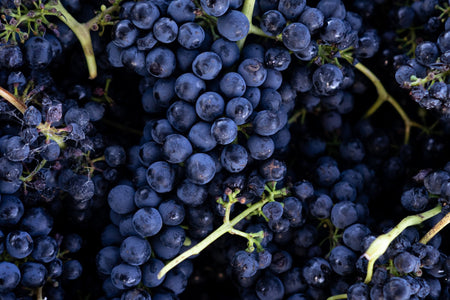 Encontro - Sobremesa Fermentary & Blendery