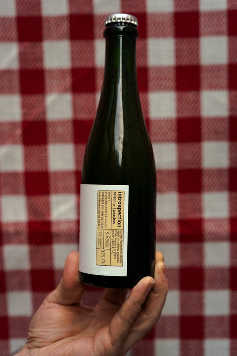 Introspection - Sobremesa Fermentary & Blendery